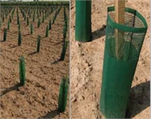 Gaines doubles protections des vignes + renforts 100g HERBAMIX®